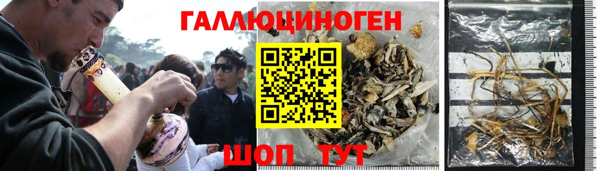 Галлюциногенные грибы GOLDEN TEACHER  Галлюциногенные грибы Magic Shrooms  Нефтекумск  Вход с VPN 